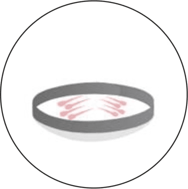 https://www.haartransplantationmannheim.com/wp-content/uploads/2025/06/haartransplantation-mannheim-3.png